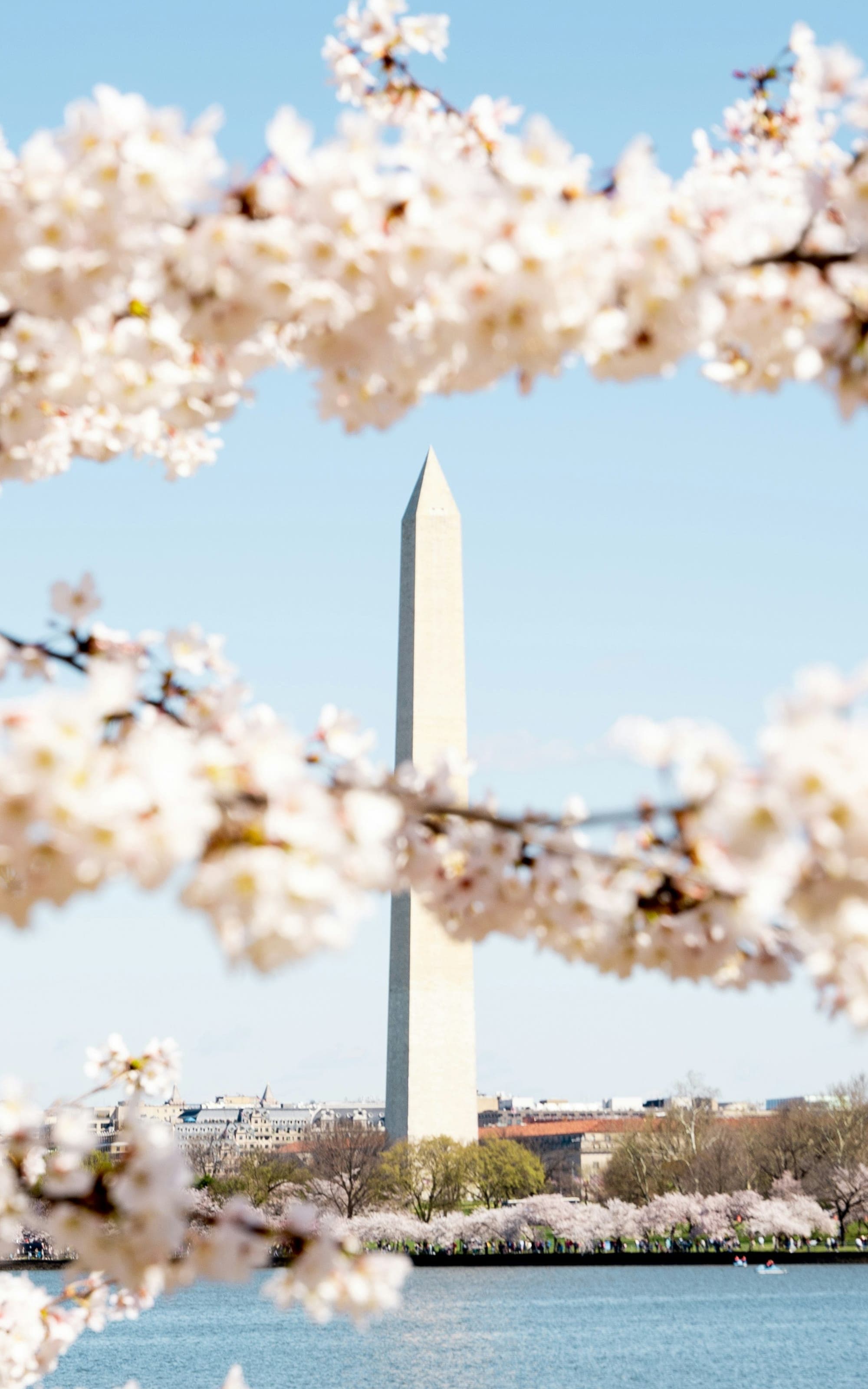 Keeping Up in the Capital: A Guide to Washington, D.C. curated by Tara Condon