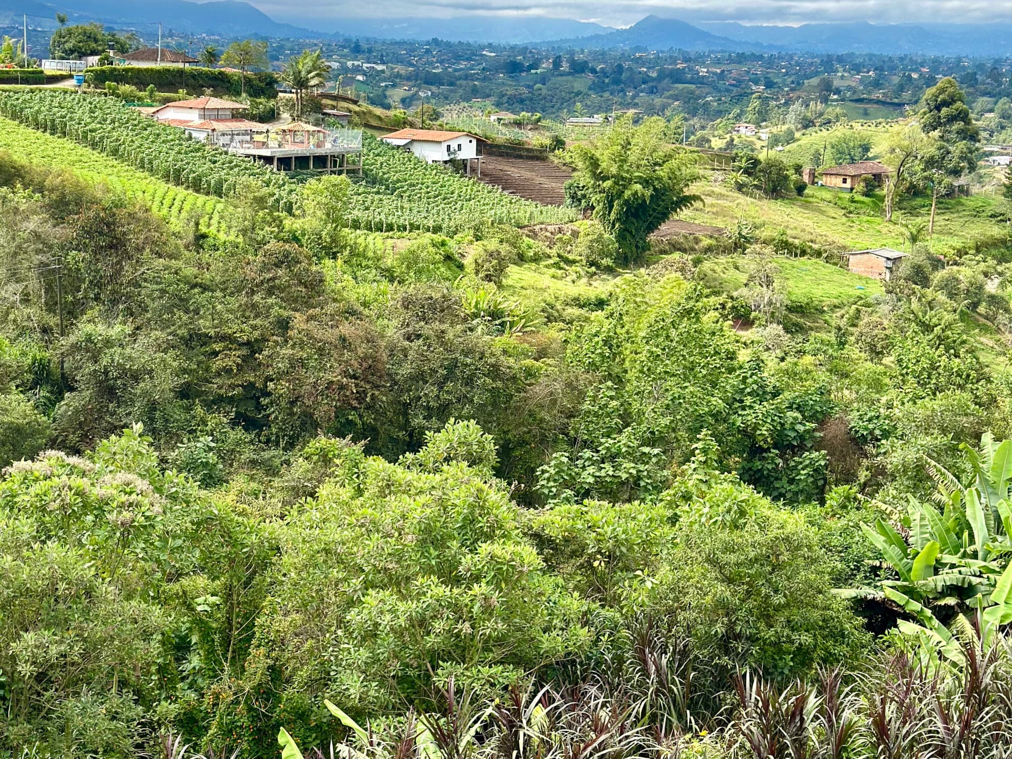 Travel Guide to Colombia: Medellín, Cartagena, Baru Islands & Cannua curated by Micah Drimmer
