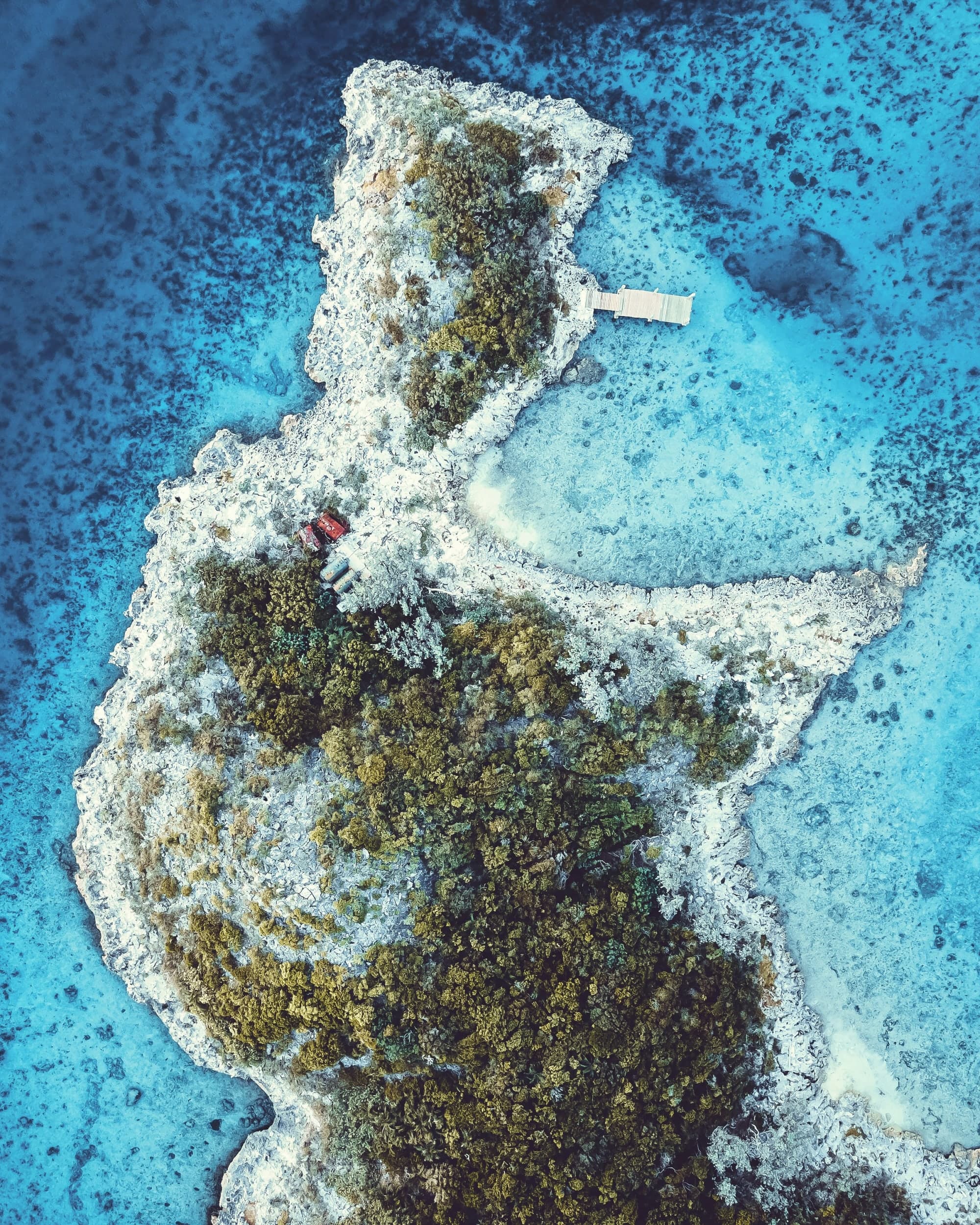 From Pigs to Paradise: The Ultimate Exuma Experience curated by Tammy Kiefer