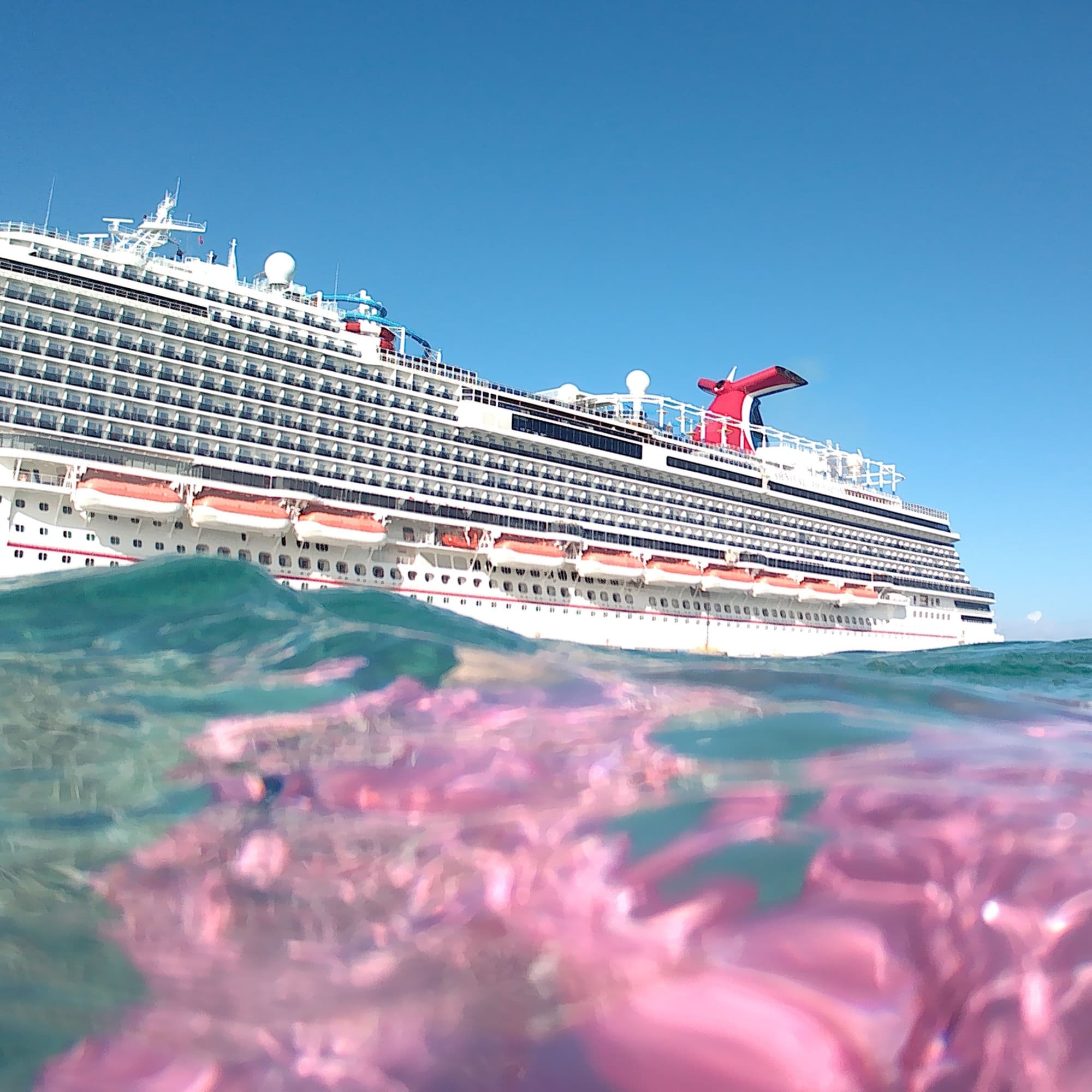 A cruise ship on water during daytime.