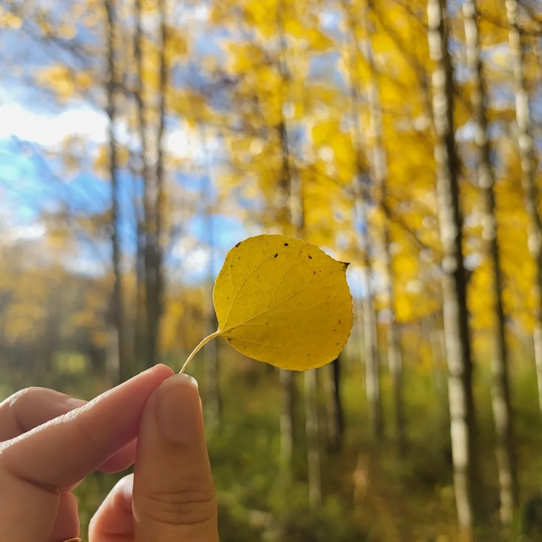 Fall season in Denver