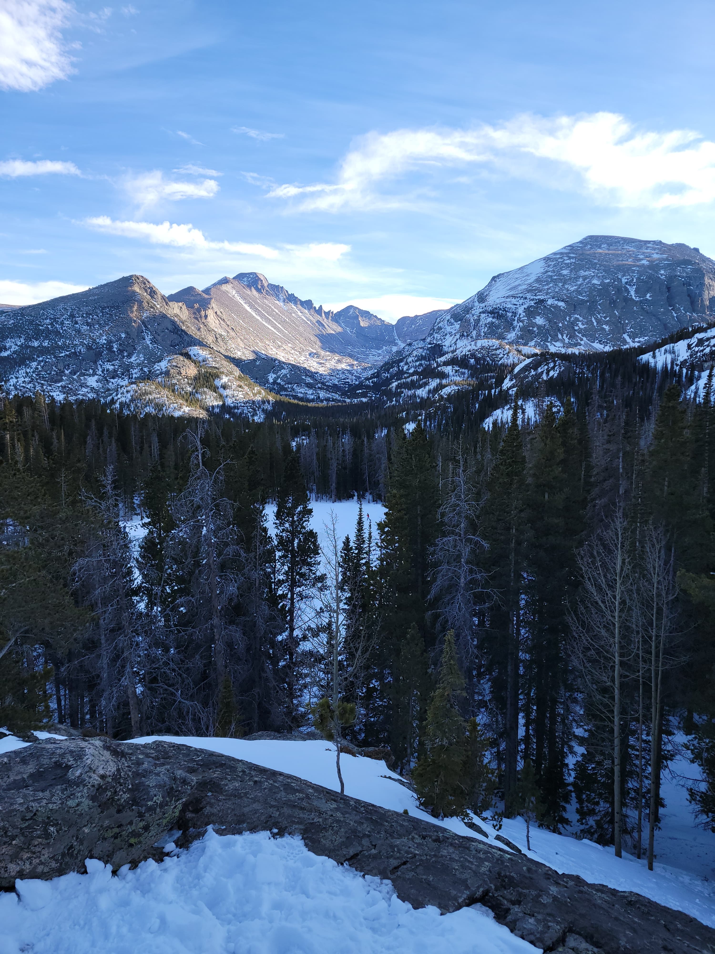 Snow trees and mountains of Colorado