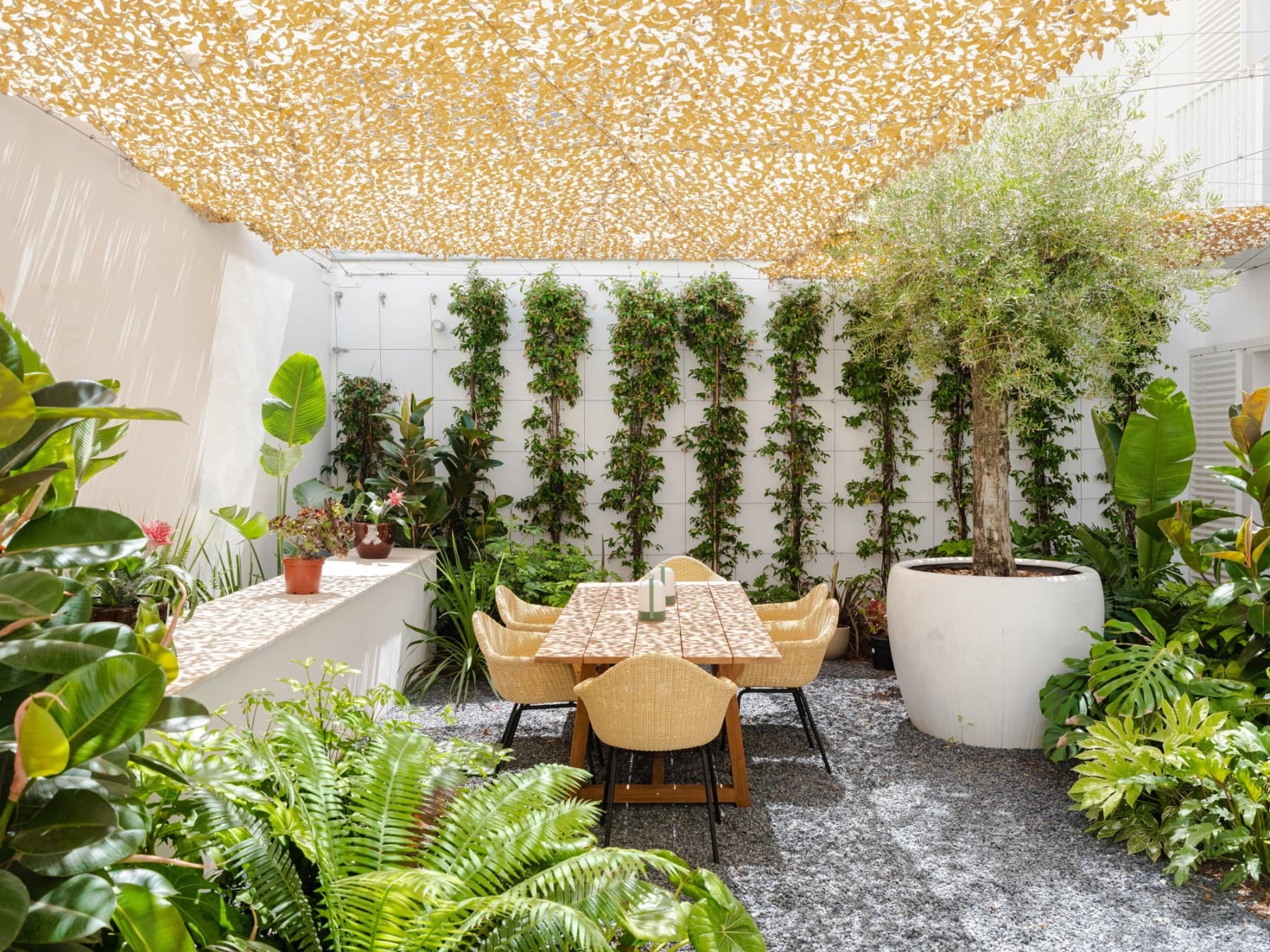 terrace with garden plants and a table for six
