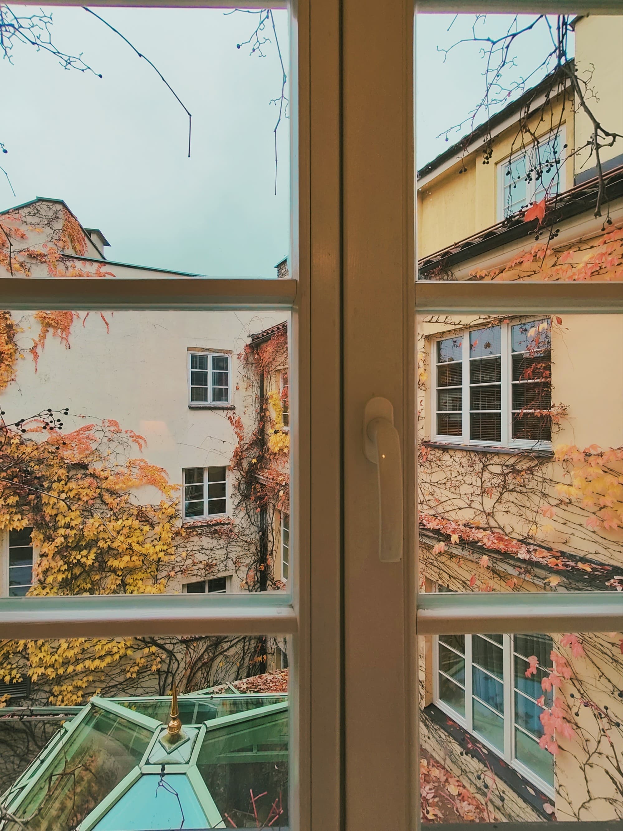 View from window