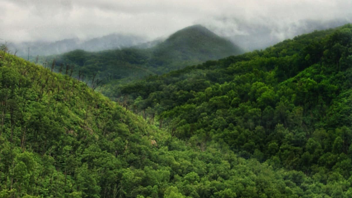 Gatlinburg
