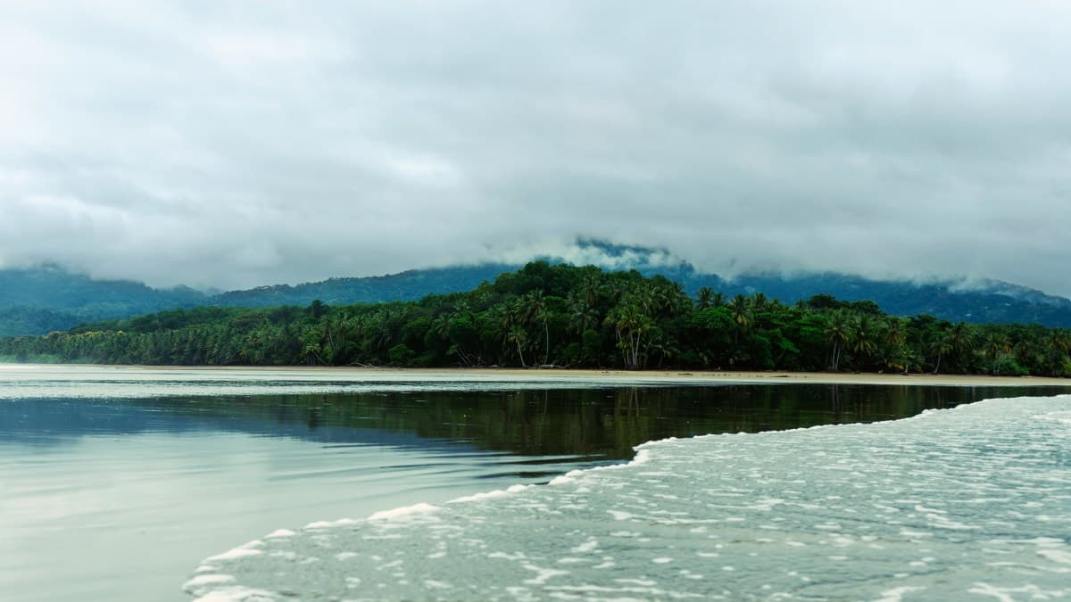 Uvita