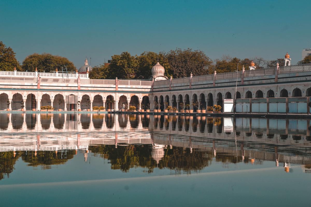 Fora - New Delhi