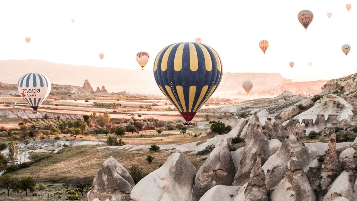 Hot air balloons during daytime
