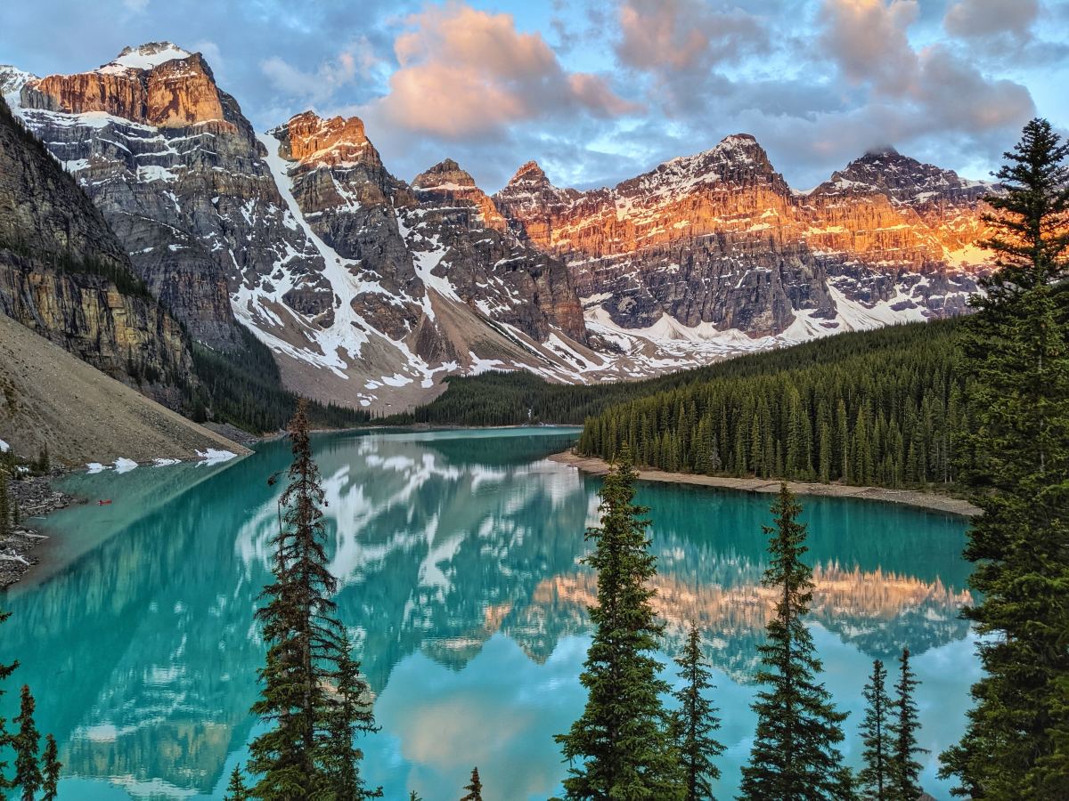 Trees near a mountain beside body of water.