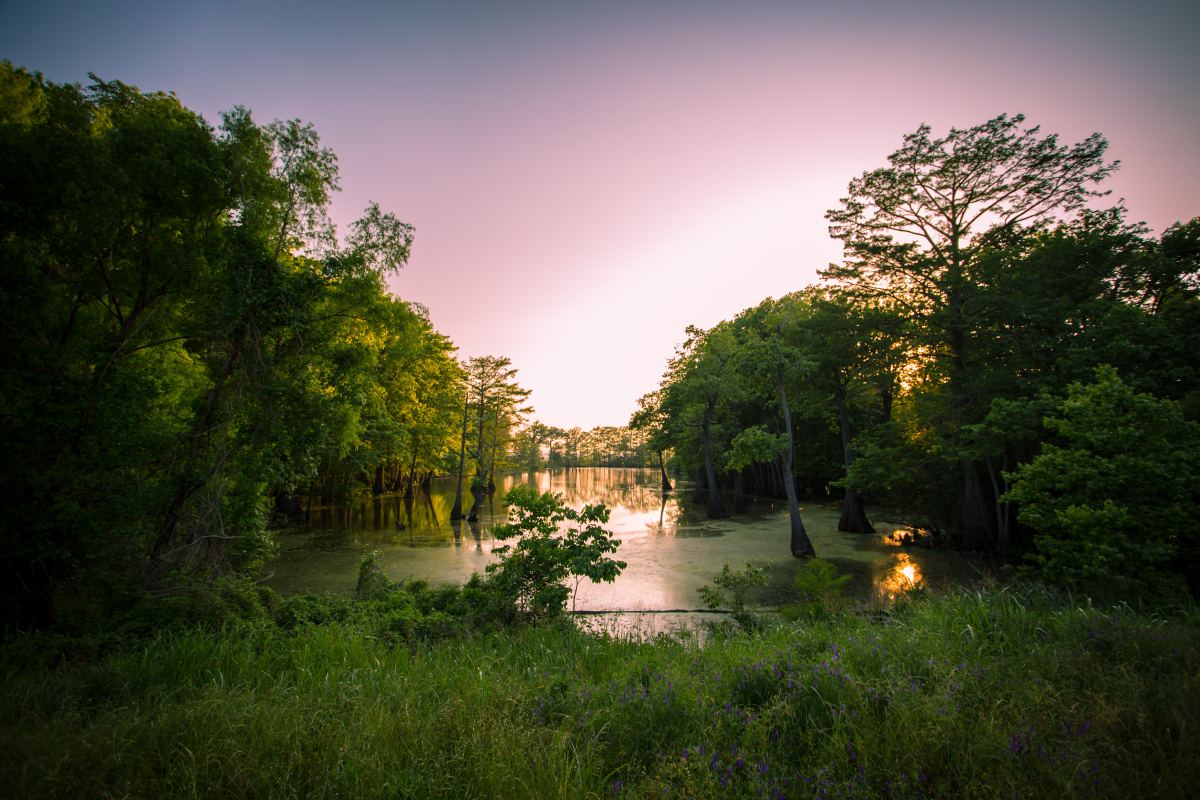 sunset over the wilderness and lake