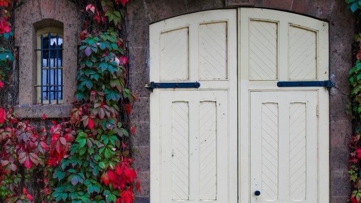 white door on a home covered in ivy and red flowers