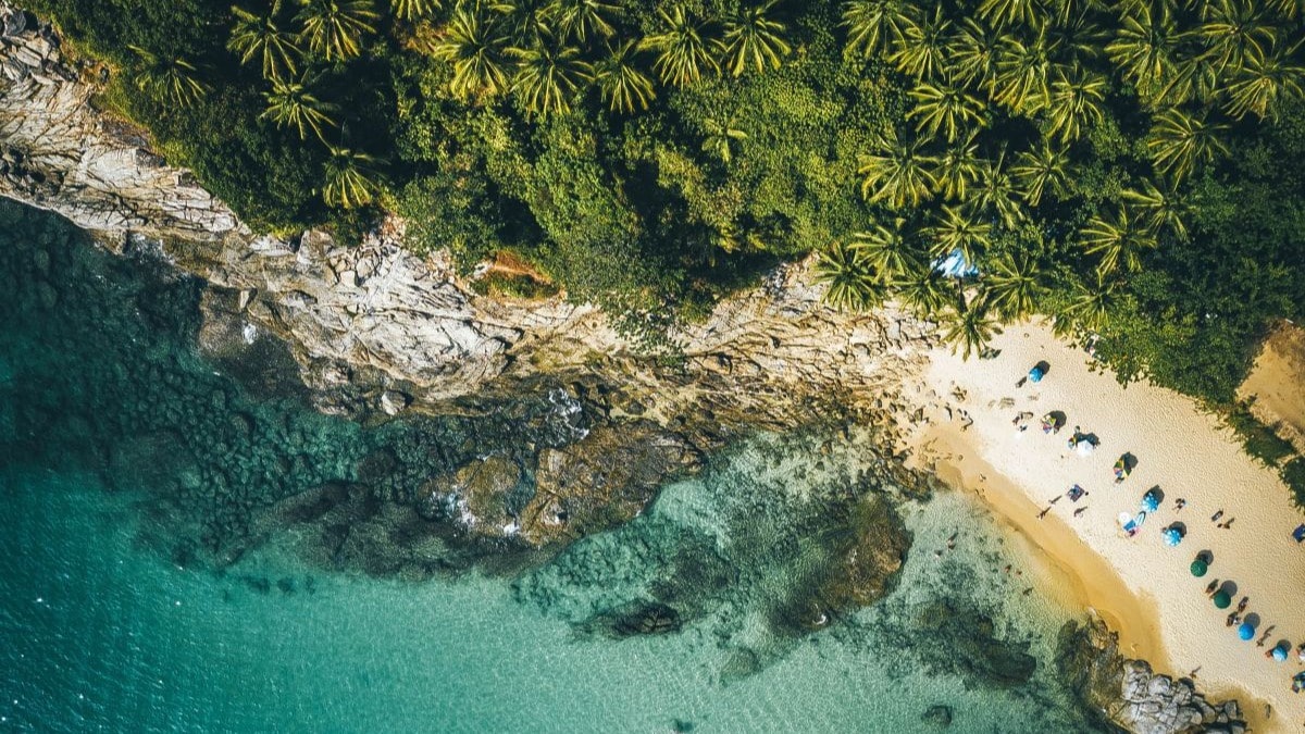 Aerial view of a beach and a large forest