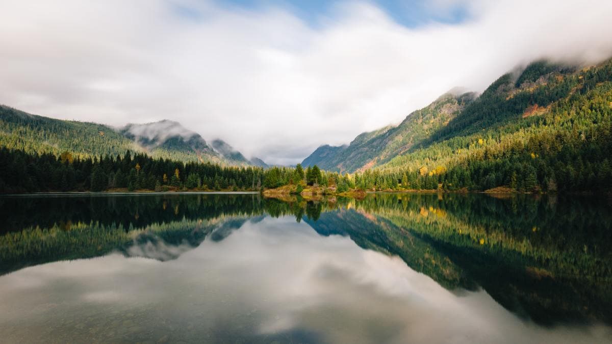 Washington