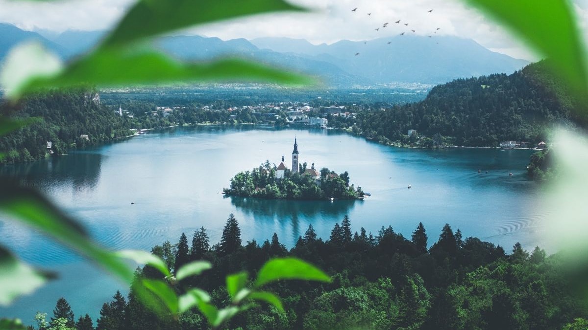 Aerial photo of an island surrounded by green trees.