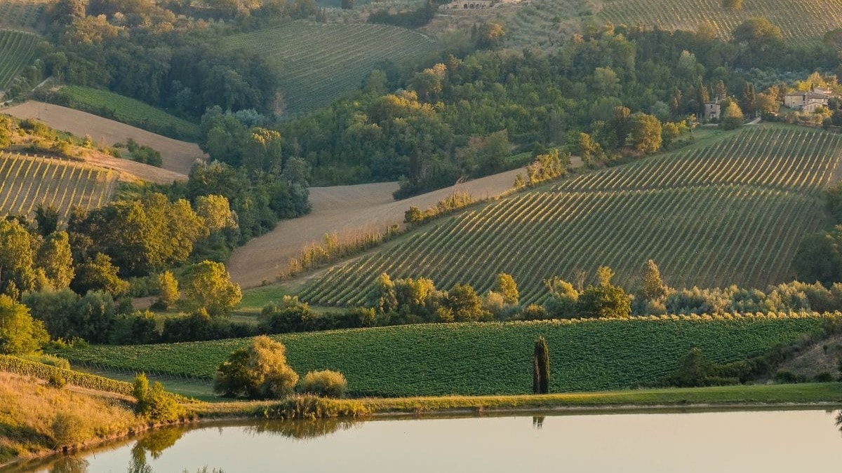 rolling green hills
